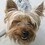 keith_wilson